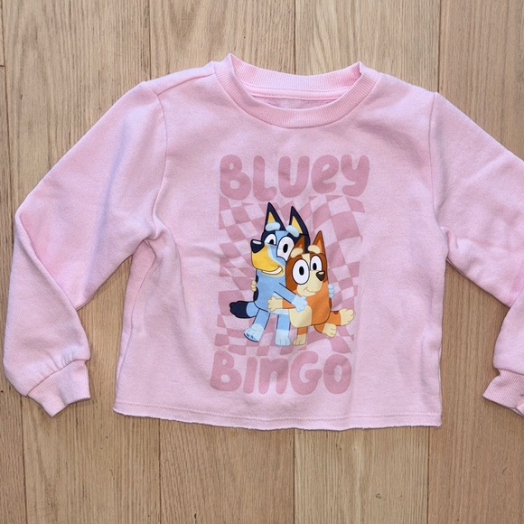 Bluey sweatshirt - Picture 1 of 3